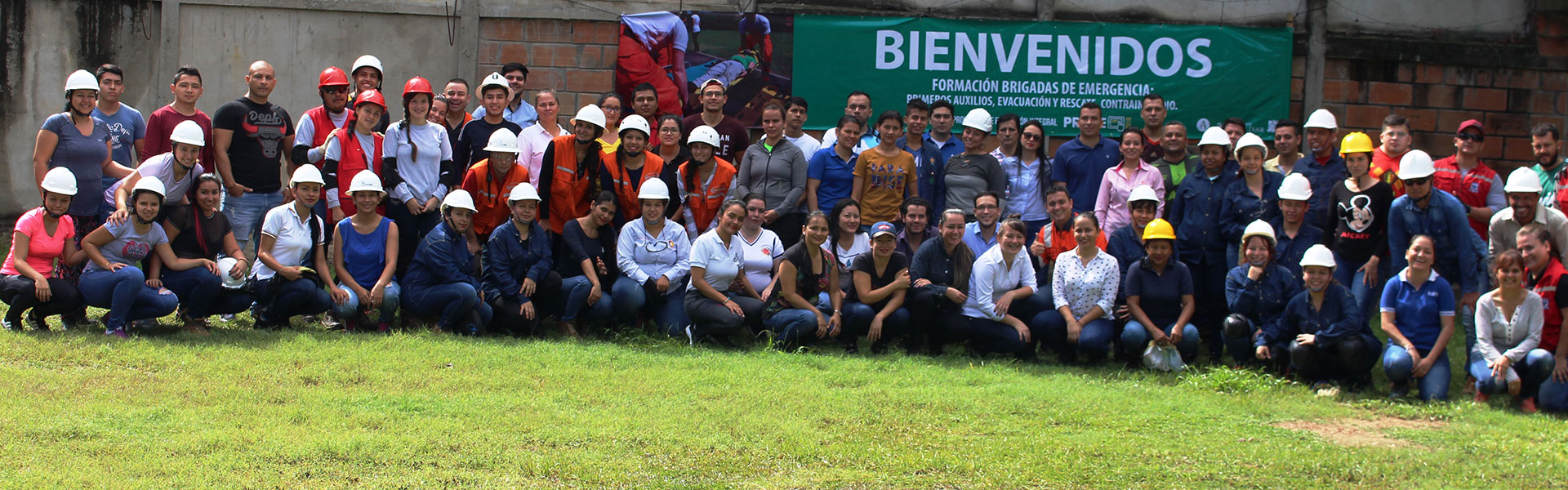 Grupo INGESIN