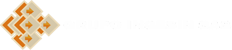 Logo GRUPO INGESIN